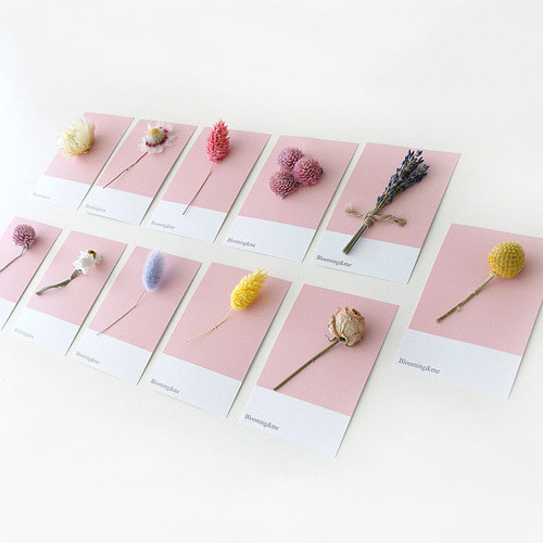 핑크 드라이플라워 카드(5p) - 랜덤
