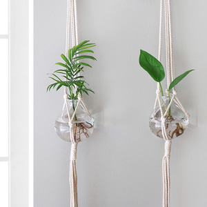공기정화식물 수경재배 둥근 vase SET+마크라메 행잉